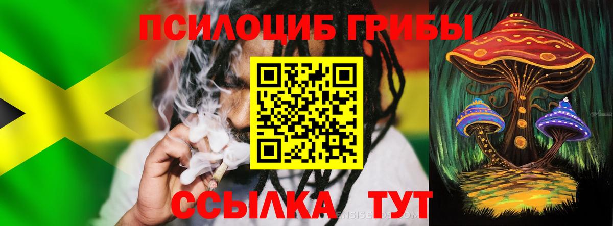 Псилоцибиновые грибы Cubensis Звенигород