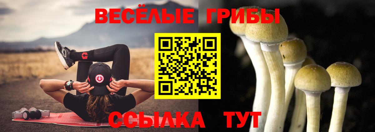 Галлюциногенные грибы мухоморы  Галлюциногенные грибы ЛСД  Звенигород  Вход с VPN 